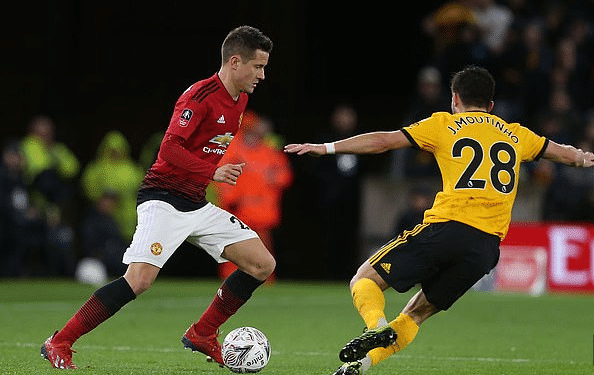 相比公牛 相比公牛